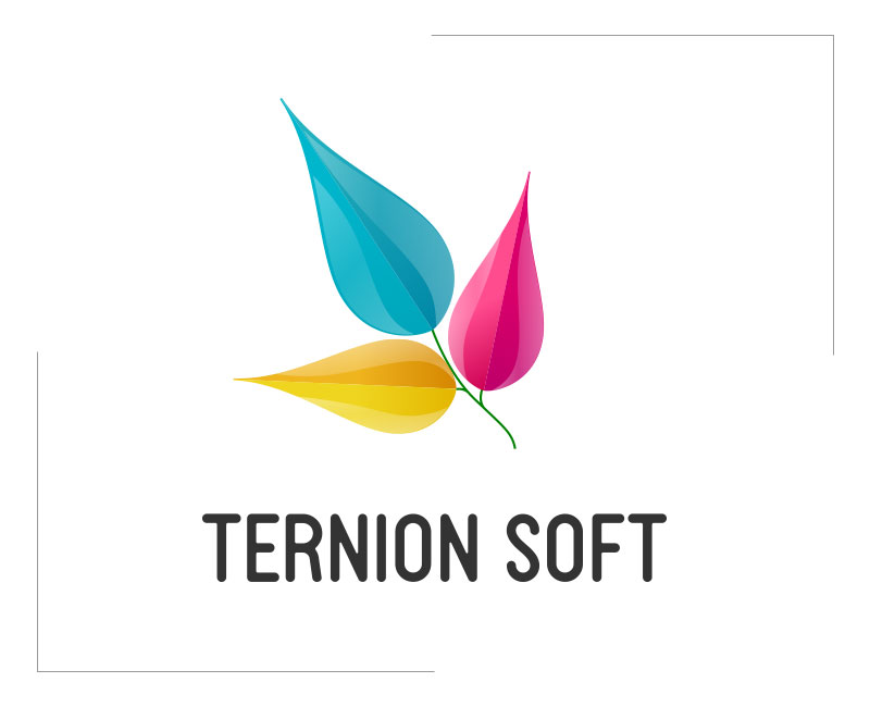 Ternion Soft
